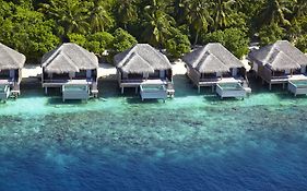 Hotel Dusit Thani Maldives Amilla Fushi 5*